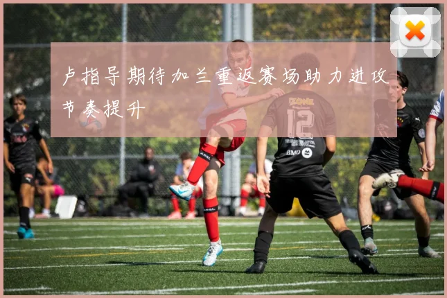 卢指导期待加兰重返赛场助力进攻节奏提升