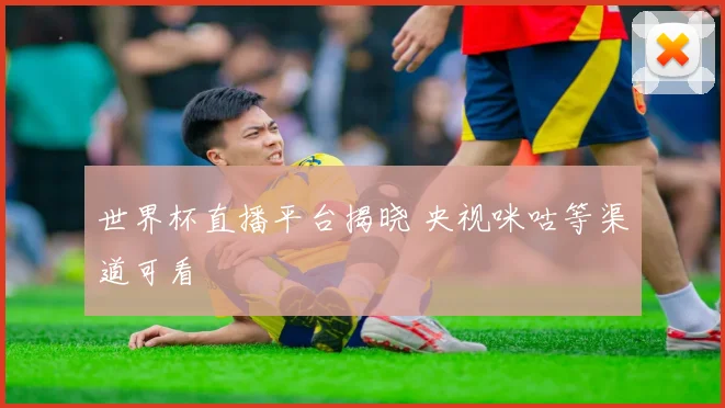 世界杯直播平台揭晓 央视咪咕等渠道可看