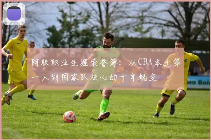 阿联职业生涯荣誉簿：从CBA本土第一人到国家队核心的十年蜕变