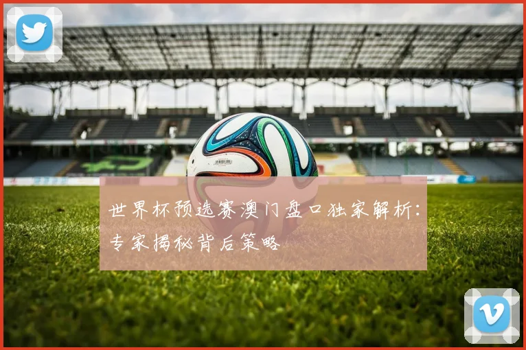 世界杯预选赛澳门盘口独家解析：专家揭秘背后策略