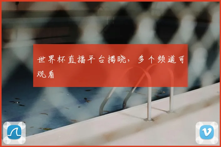 世界杯直播平台揭晓，多个频道可观看