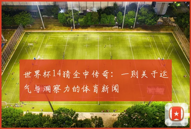 世界杯14猜全中传奇：一则关于运气与洞察力的体育新闻