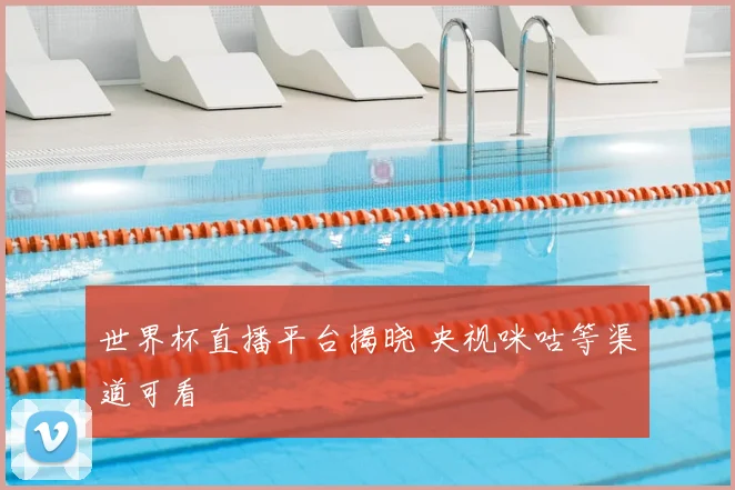 世界杯直播平台揭晓 央视咪咕等渠道可看