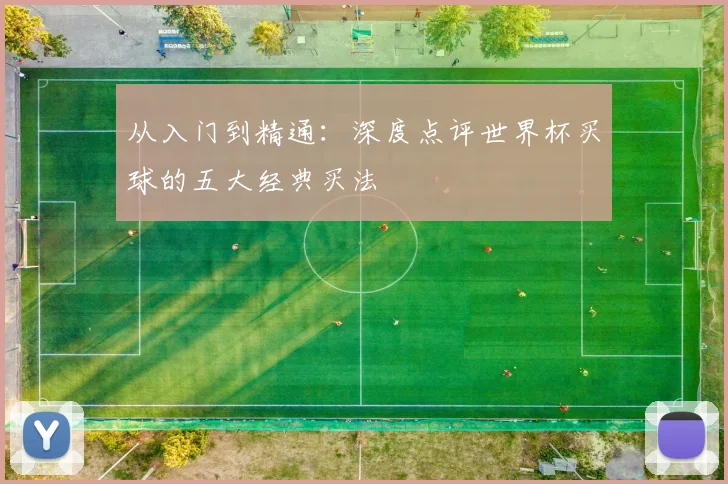 从入门到精通:深度点评世界杯买球的五大经典买法