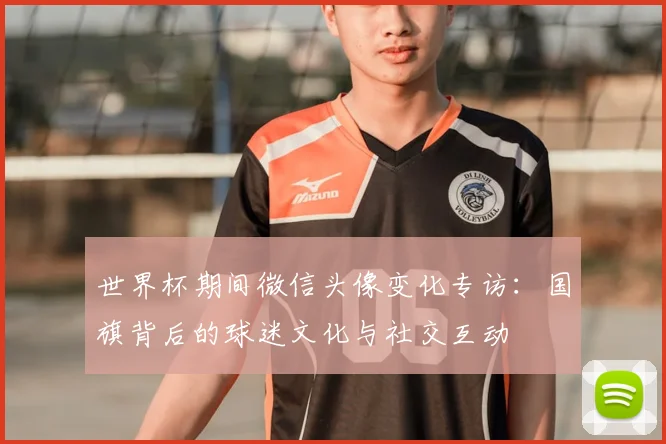 世界杯期间微信头像变化专访：国旗背后的球迷文化与社交互动