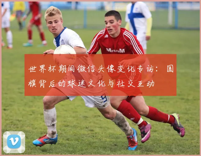 世界杯期间微信头像变化专访：国旗背后的球迷文化与社交互动