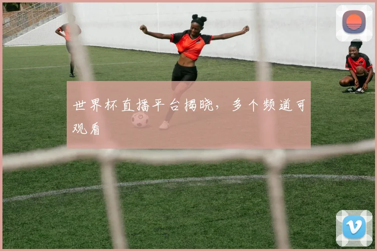 世界杯直播平台揭晓，多个频道可观看