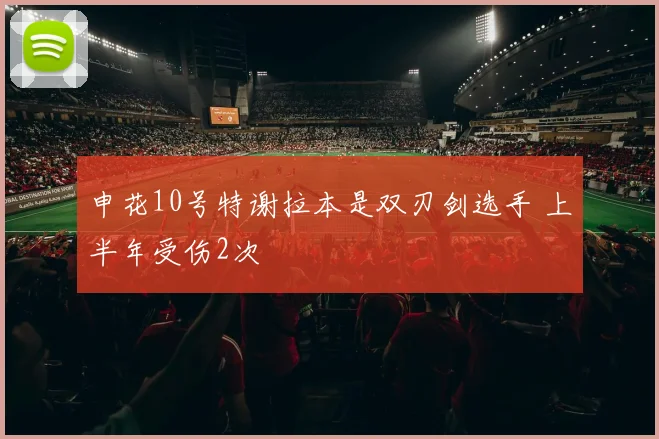 申花10号特谢拉本是双刃剑选手 上半年受伤2次
